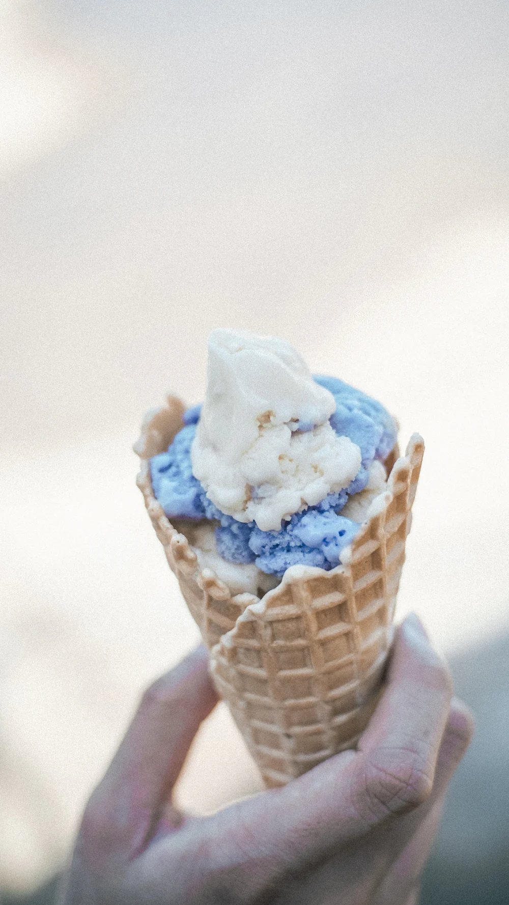 Lavender Honey Ice Cream